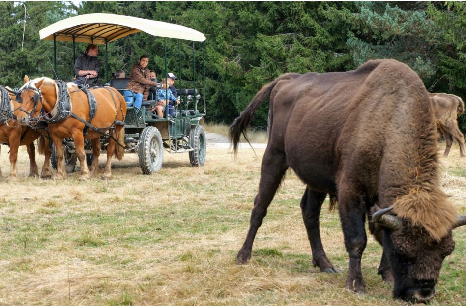 Aubrac Aventure 