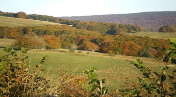 Automne en Aubrac 