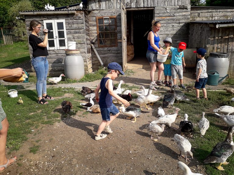 Ferme pédagogique de Daudé 