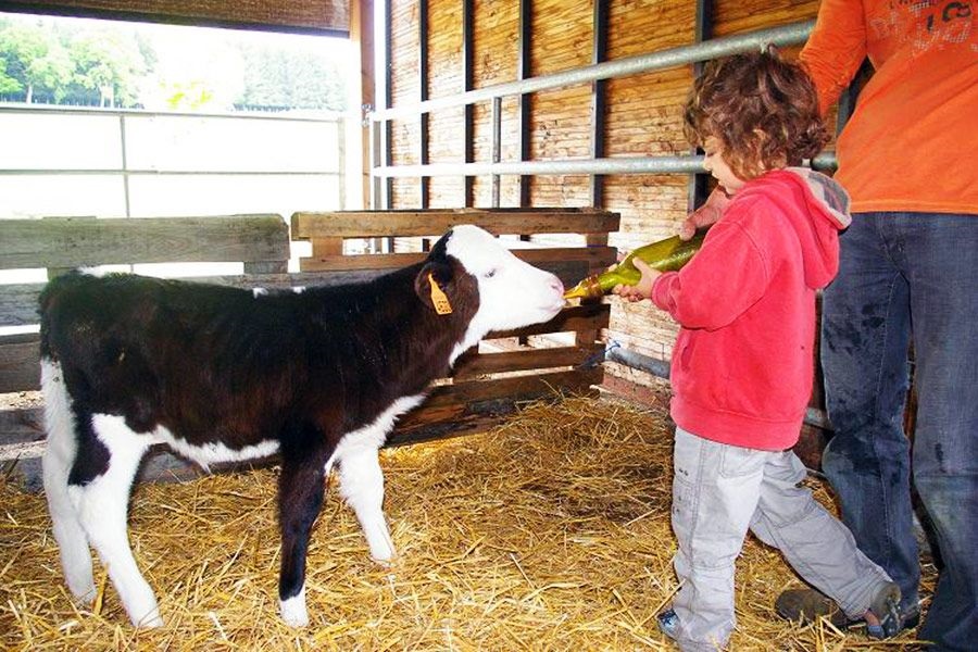 Le monde de la ferme 