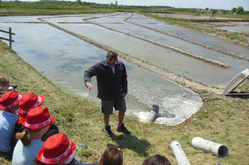 Saveurs de l'Estuaire 