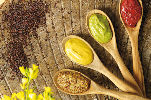 L'Odyssée des châteaux forts 