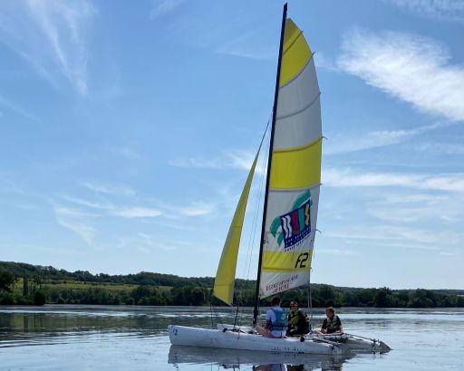 Voiles et Oiseaux 