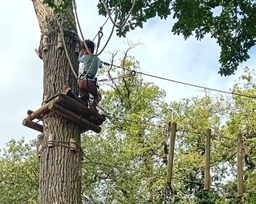Cavaliers des Bois 