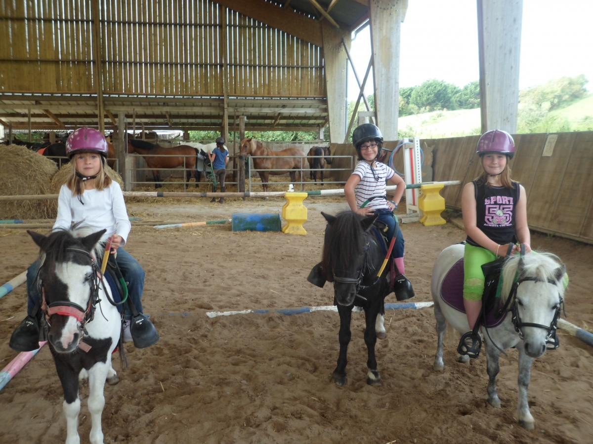 Les explorateurs de l'estran 