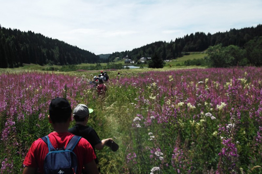 A dos d'Ânes, L'Aventure Itinérante 