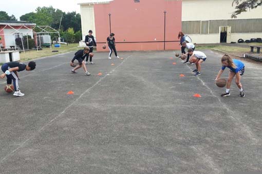 Pass Basket 