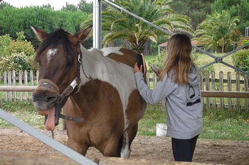 Tous à cheval - 8/13 ans 