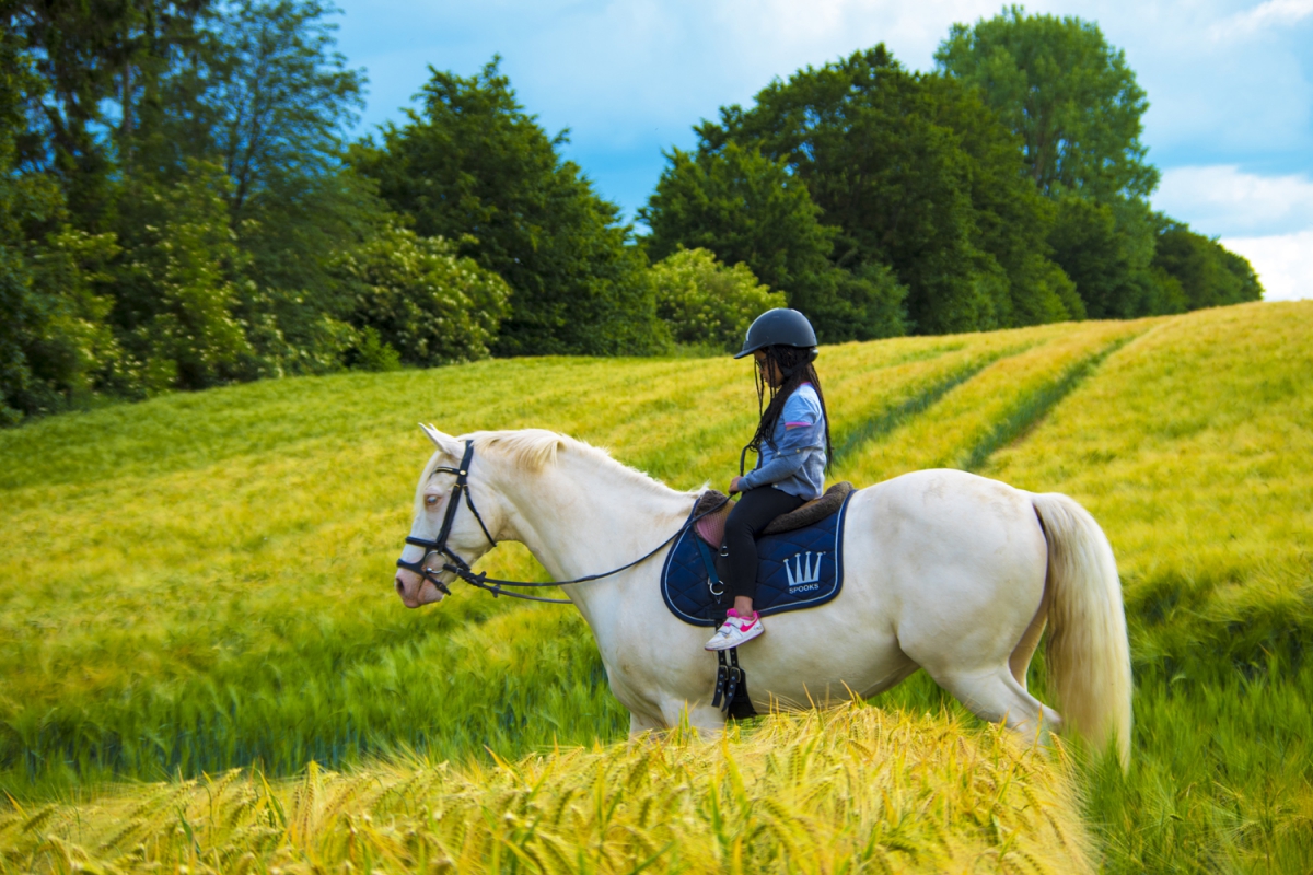 Multi activités sportives et équitation 