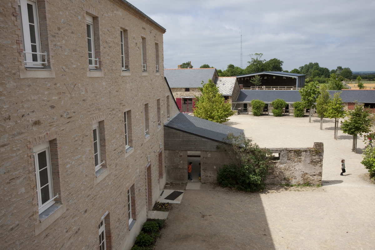 Poney en pleine nature 