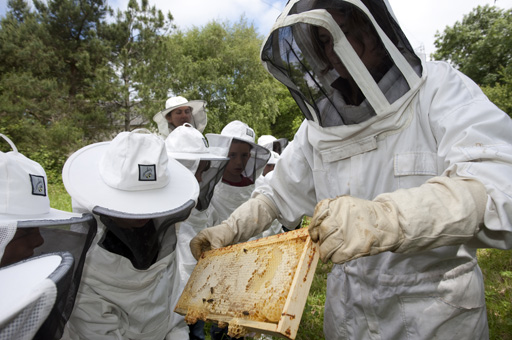 Poney en pleine nature 