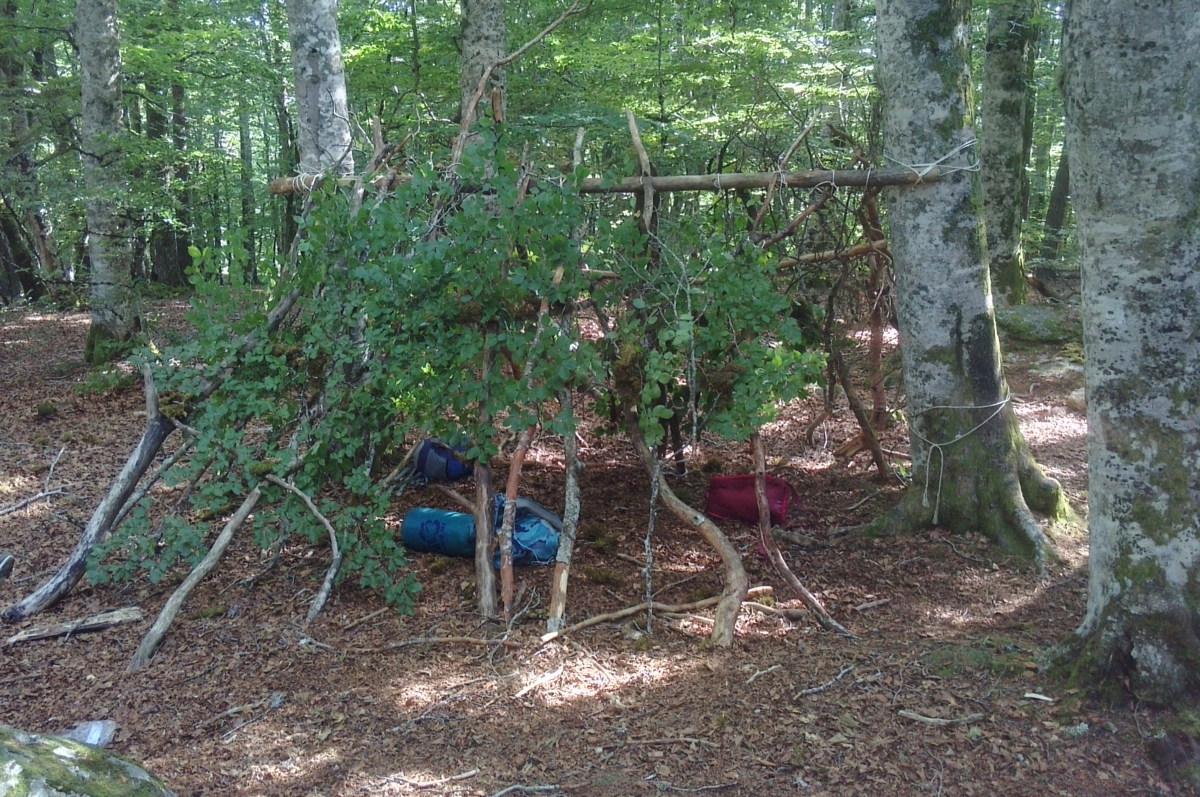 Entre chien et loup - maternels 