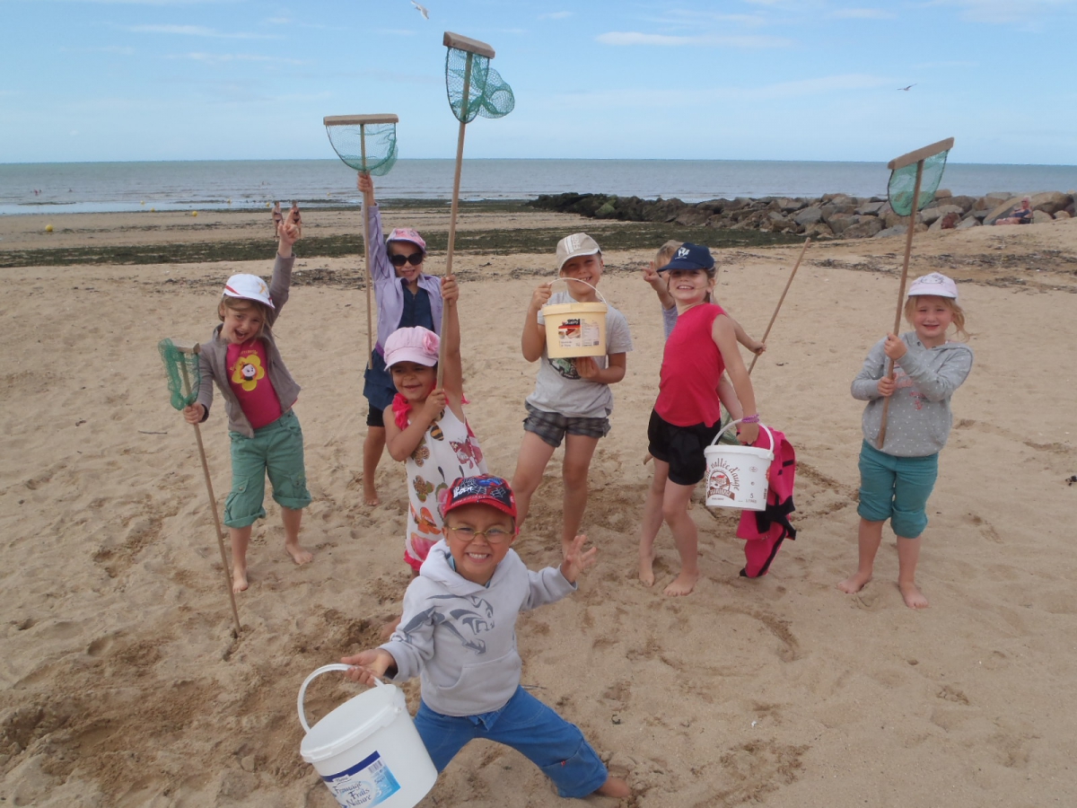 Les acrobates de la mer 