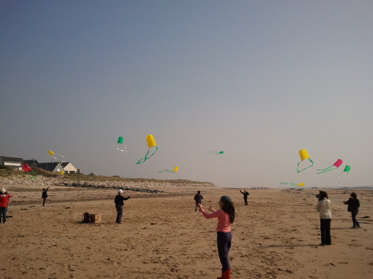 Les acrobates de la mer 