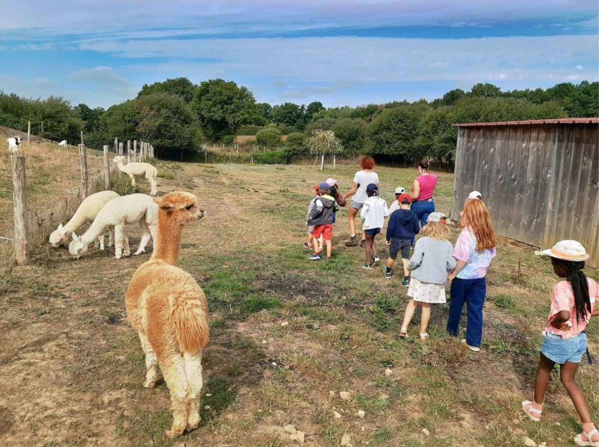 À la découverte du monde animal et végétal 