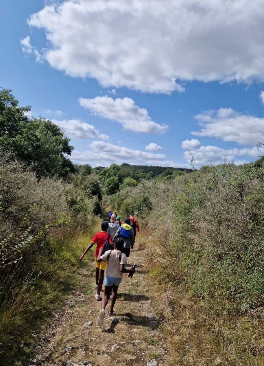 À la découverte des petites bêtes ! 
