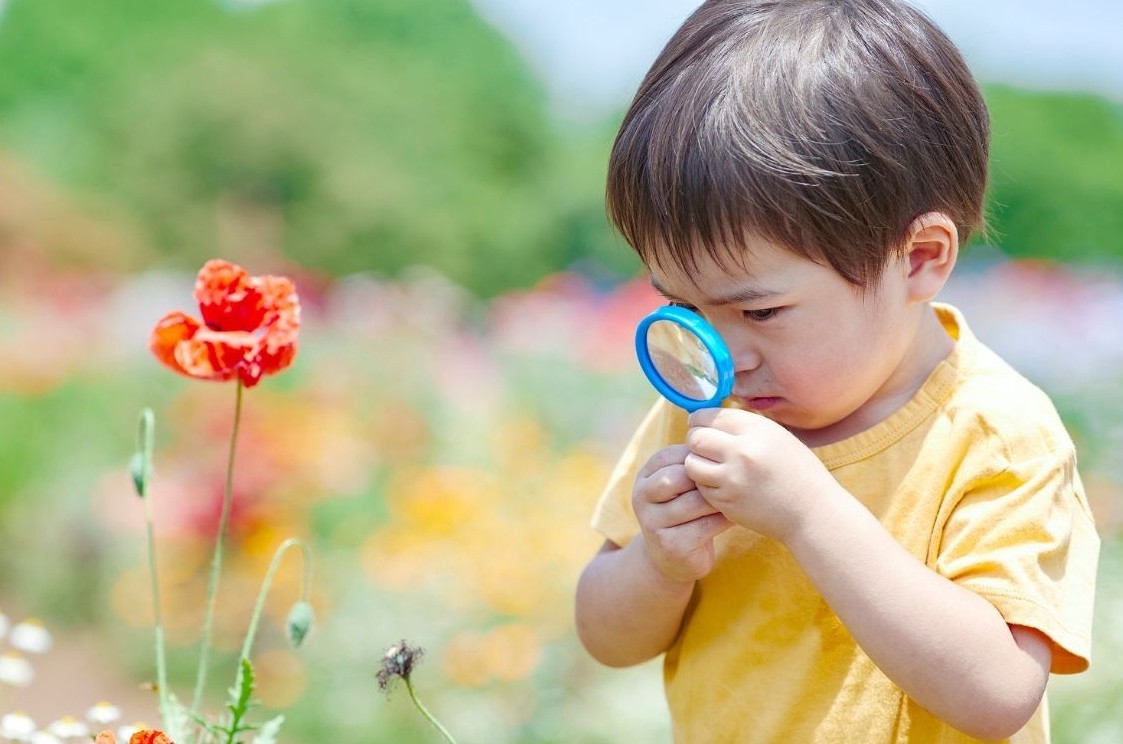 À la découverte des petites bêtes ! 