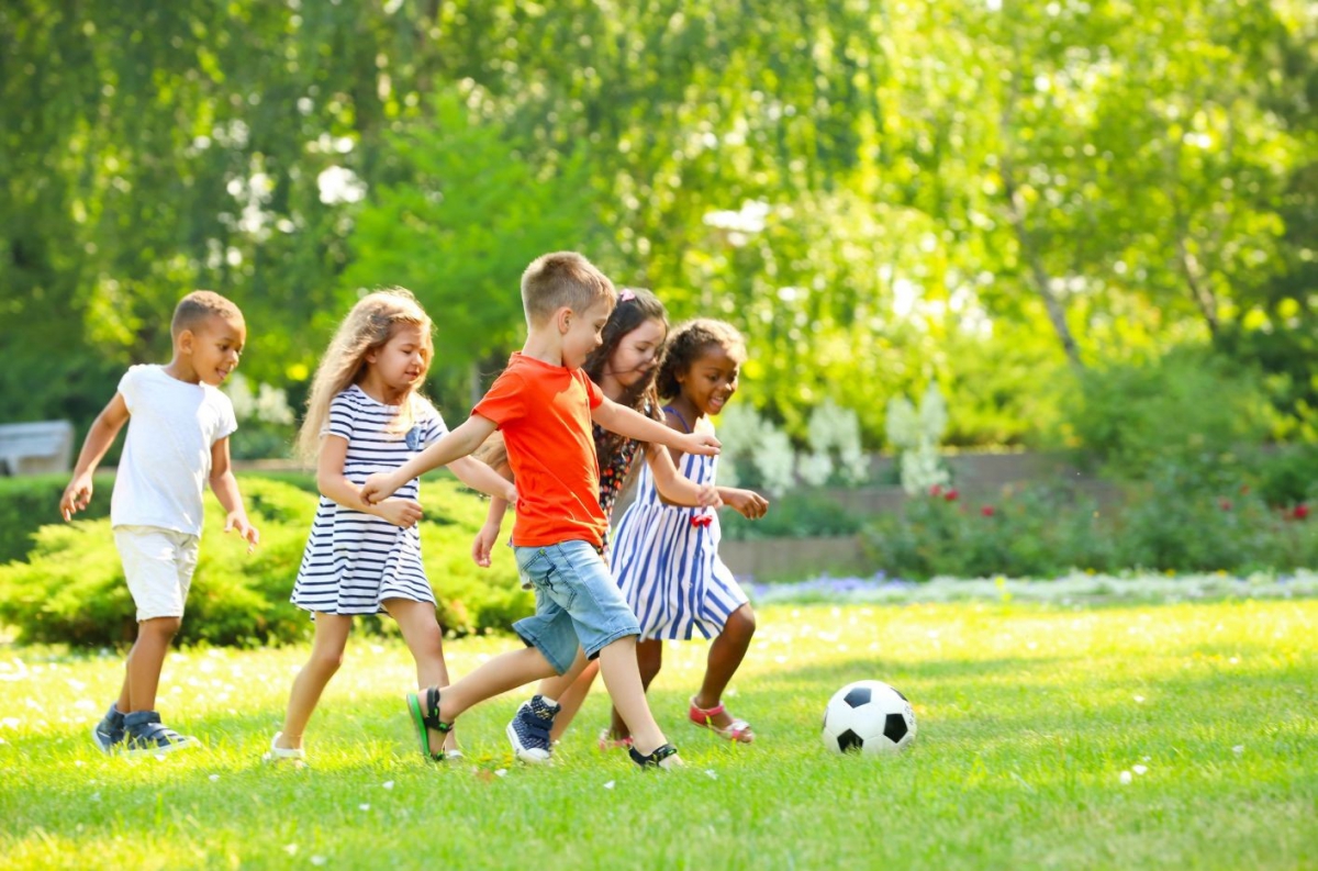 À la découverte des petites bêtes ! 