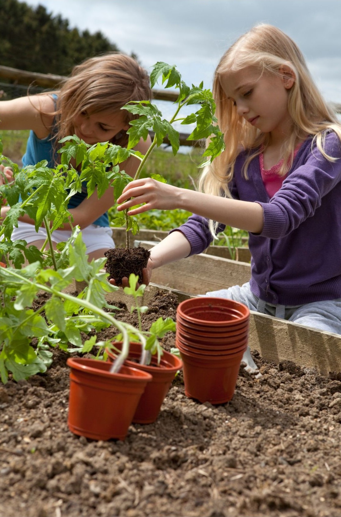 Les pieds dans l'eau, la tête dans les étoiles 