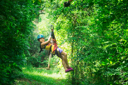 Aventures au Sommet ! 