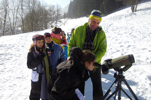 Ski grandeur nature 