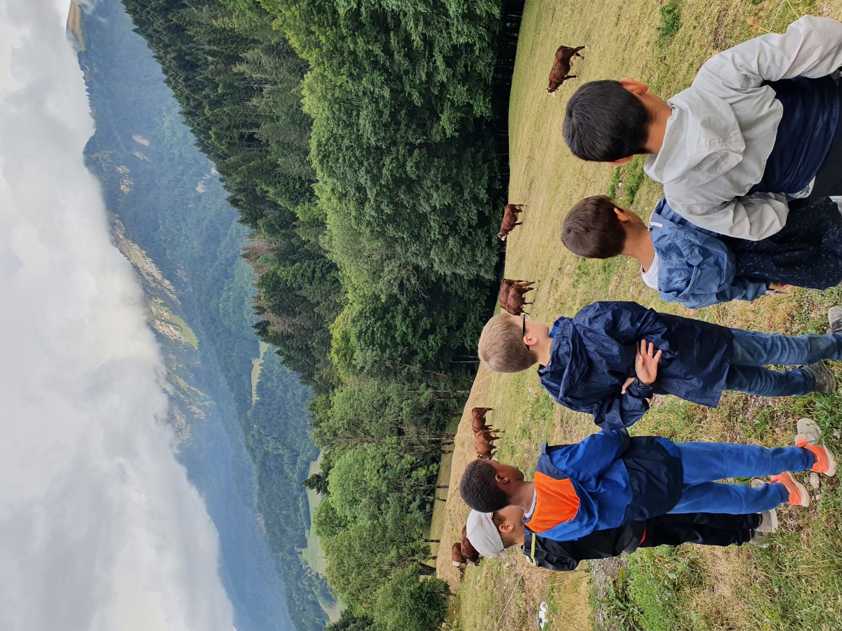 Ma 1e Colo en Montagne 