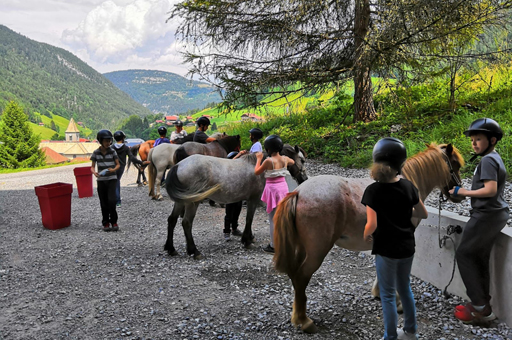 Poney Camp 