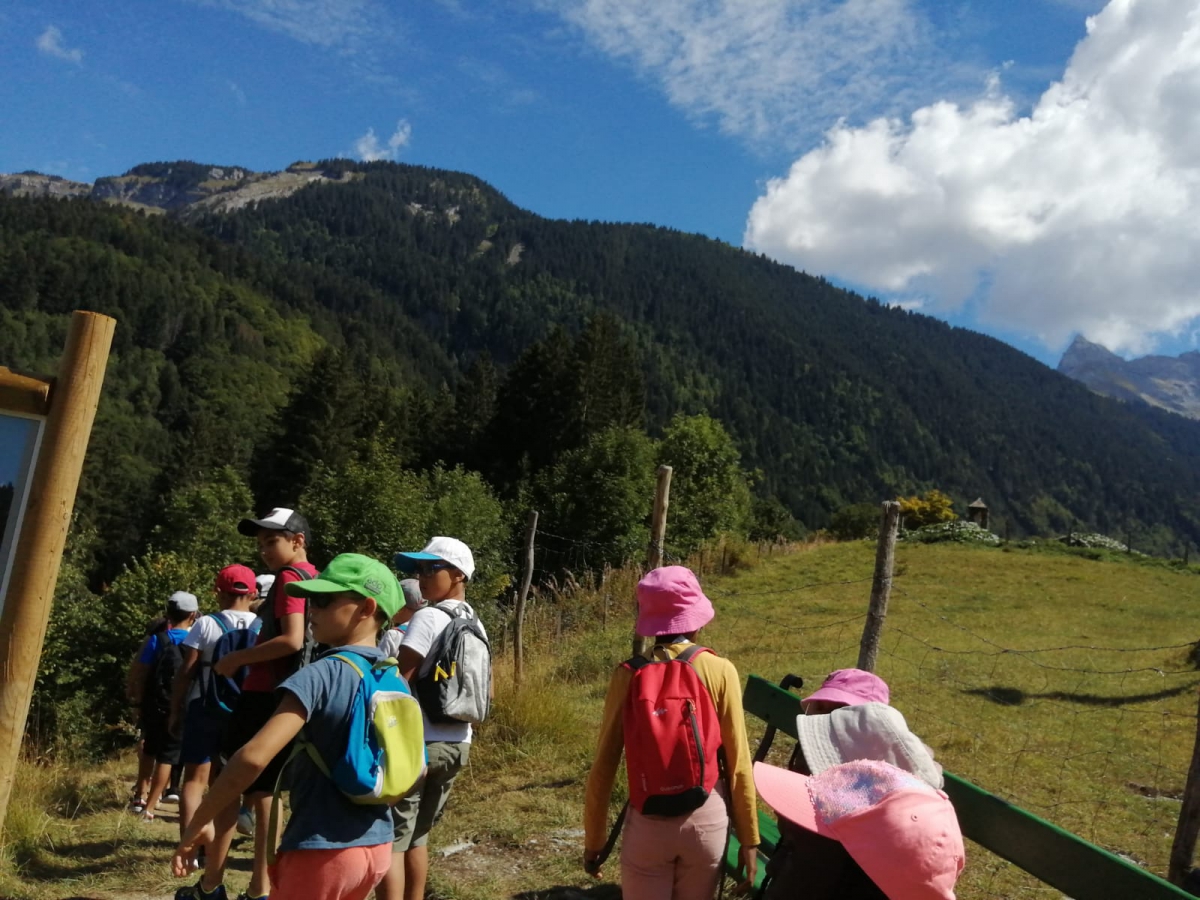 Poney Camp 