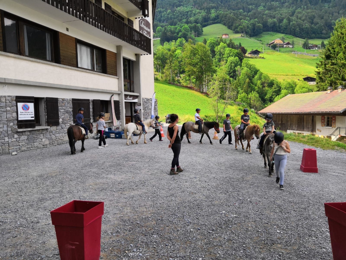 Poney Camp 