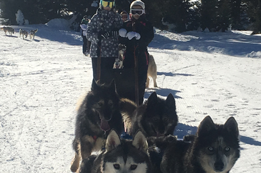 Trappeurs des neiges 
