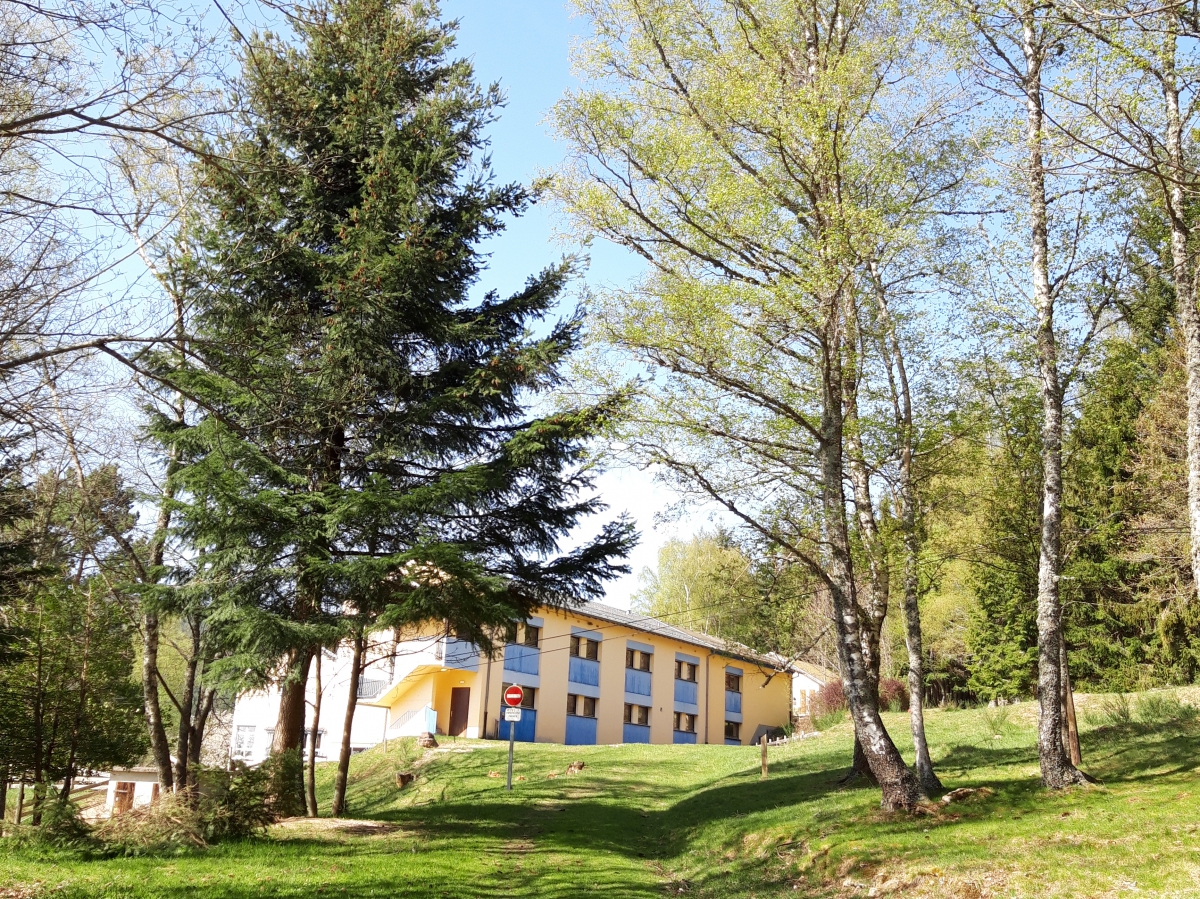 Le Slow tourisme dans le massif des Vosges 