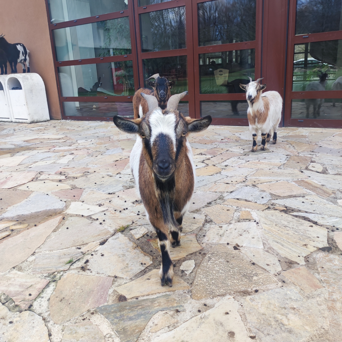 Découverte de faune et de la flore en Ile-de-France 