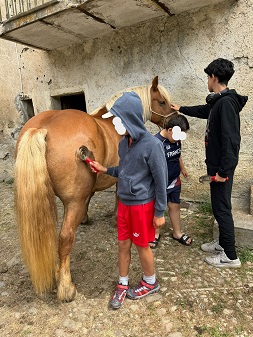 100% Animaux 