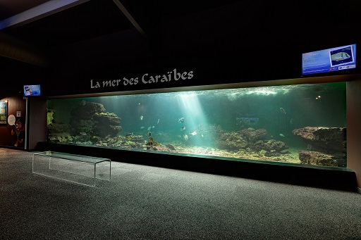 Sabots et bord de mer 