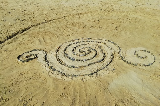 Coquillages et crustacés 