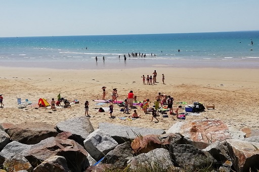 Coquillages et crustacés 