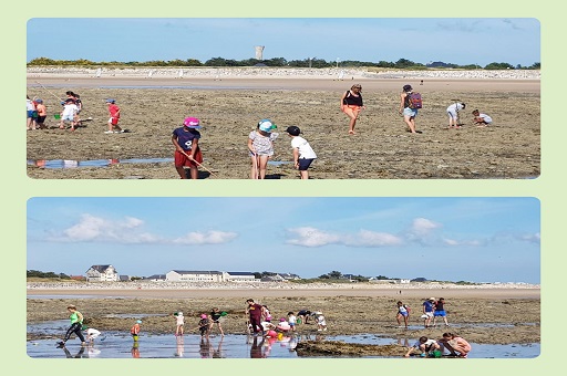 Coquillages et crustacés 